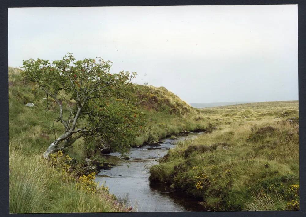 An image from the Dartmoor Trust Archive