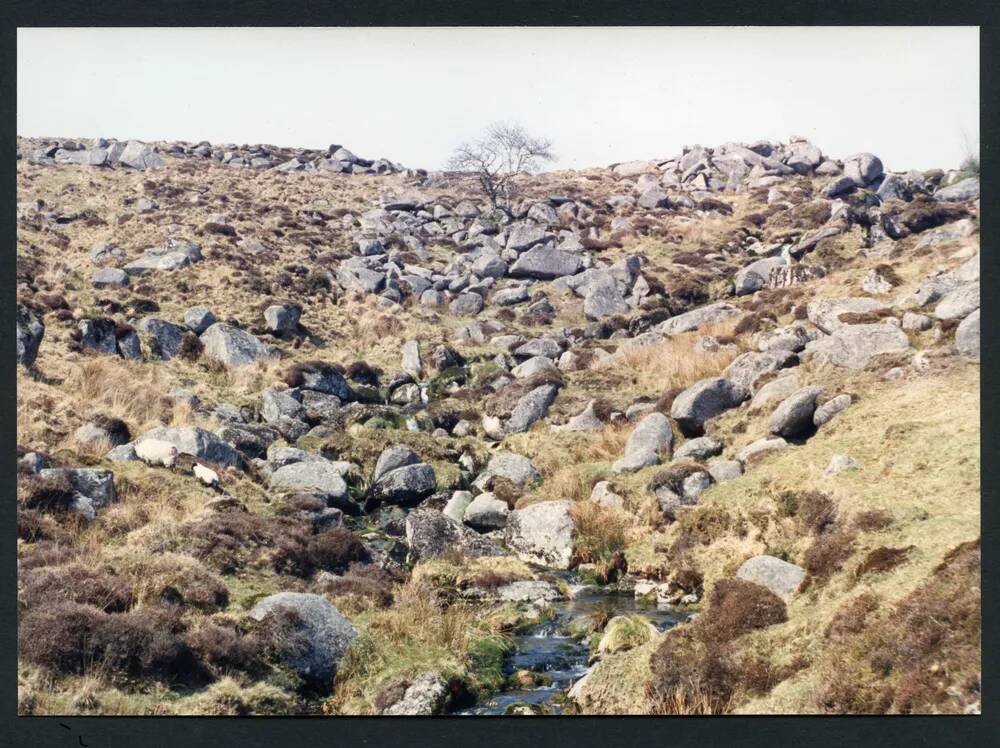 An image from the Dartmoor Trust Archive