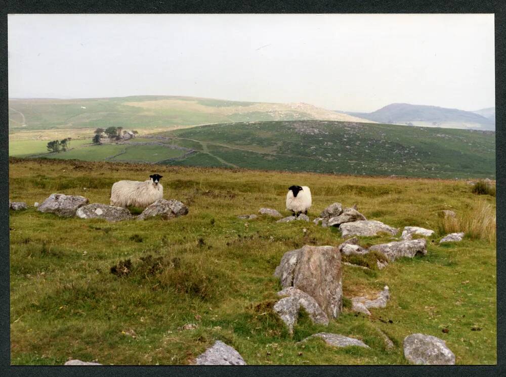 An image from the Dartmoor Trust Archive