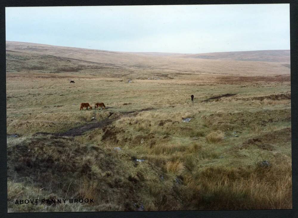 An image from the Dartmoor Trust Archive