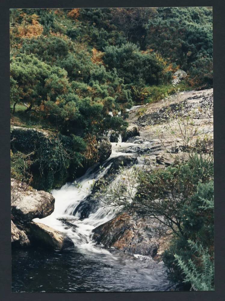 An image from the Dartmoor Trust Archive