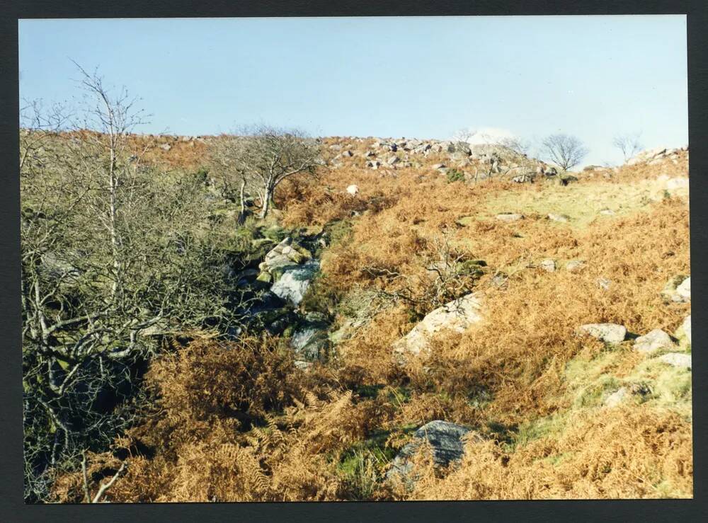 An image from the Dartmoor Trust Archive