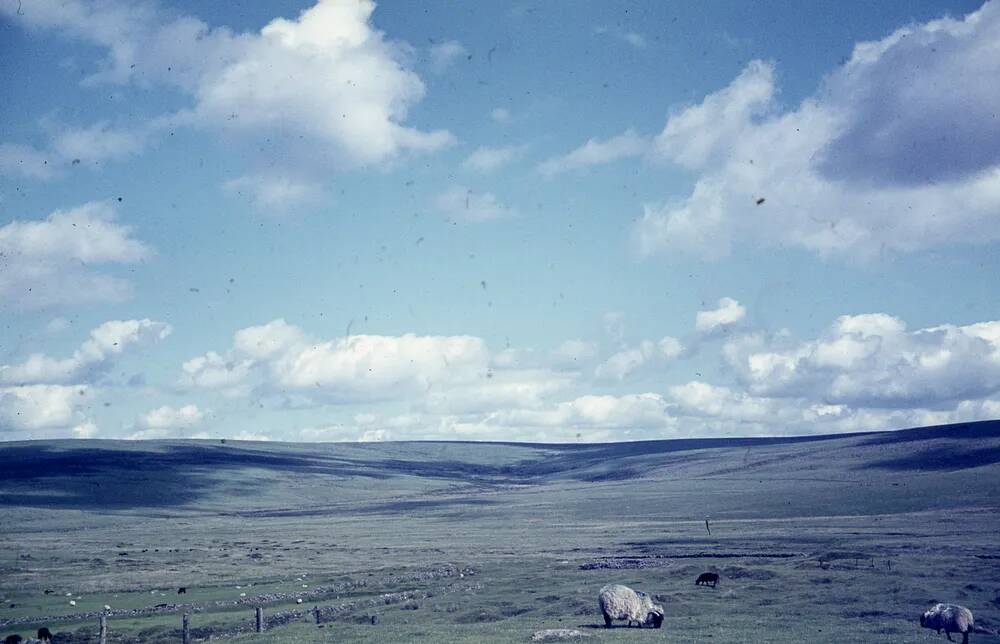 An image from the Dartmoor Trust Archive