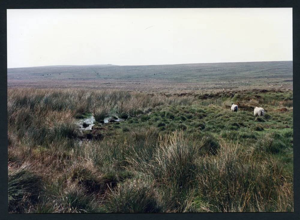 An image from the Dartmoor Trust Archive