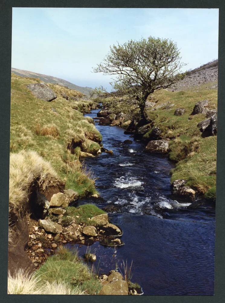 An image from the Dartmoor Trust Archive