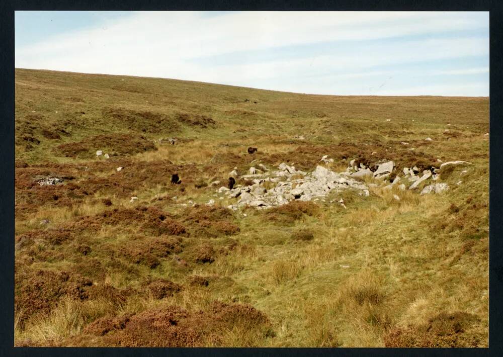 An image from the Dartmoor Trust Archive