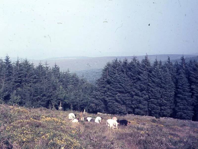 An image from the Dartmoor Trust Archive