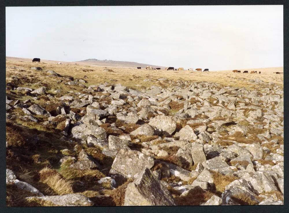 An image from the Dartmoor Trust Archive