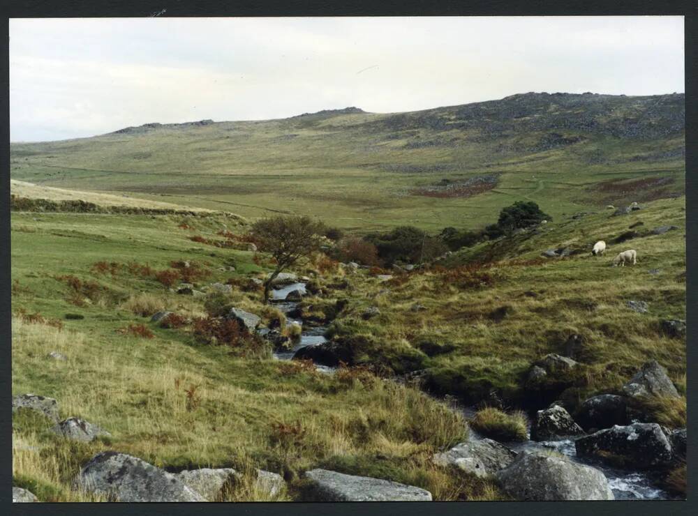 An image from the Dartmoor Trust Archive