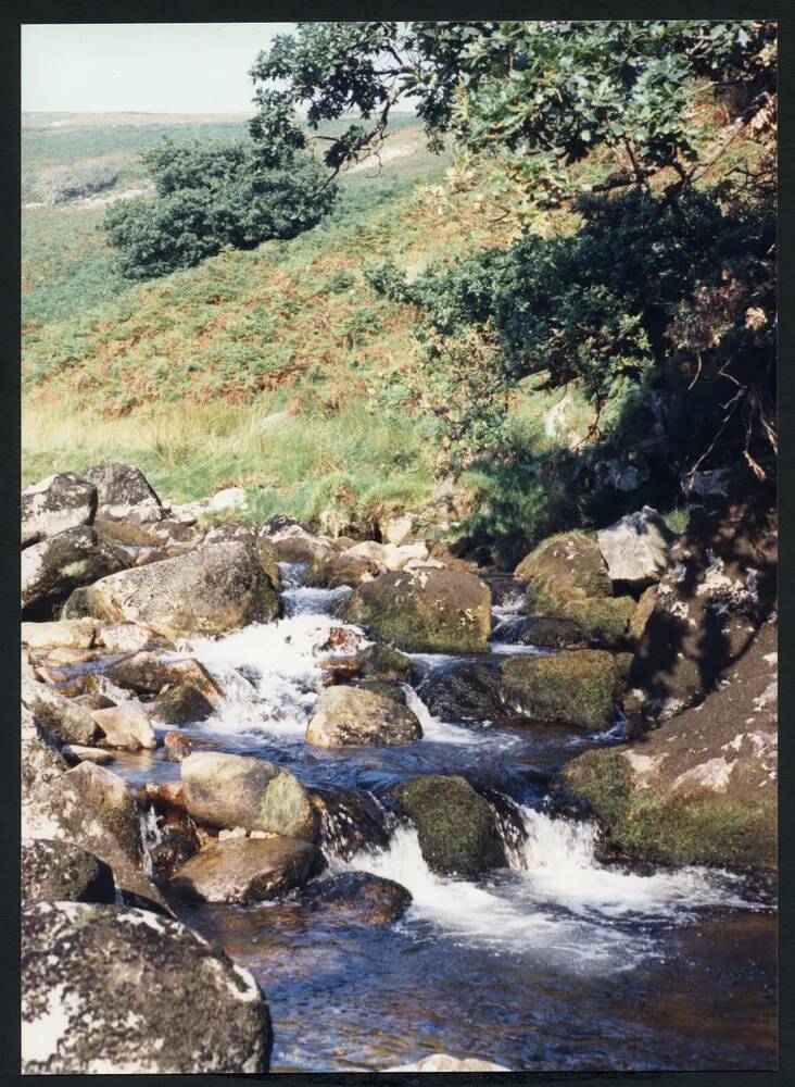 An image from the Dartmoor Trust Archive