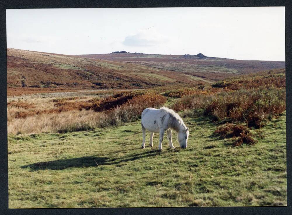 An image from the Dartmoor Trust Archive