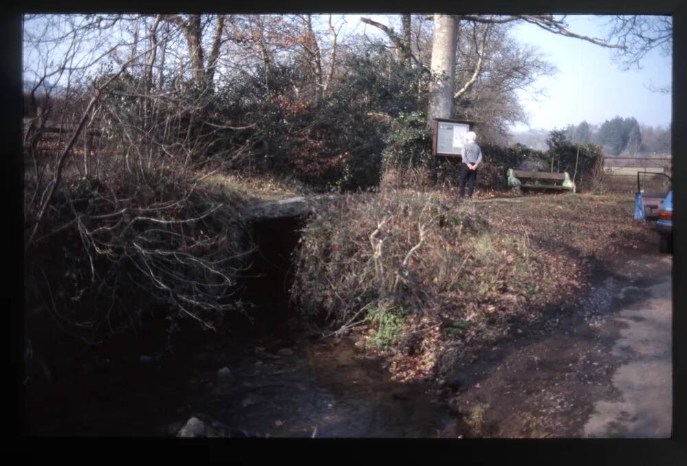 Chapelle wood - bridge over stream