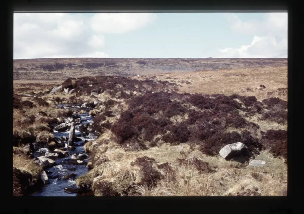 Headon Brook