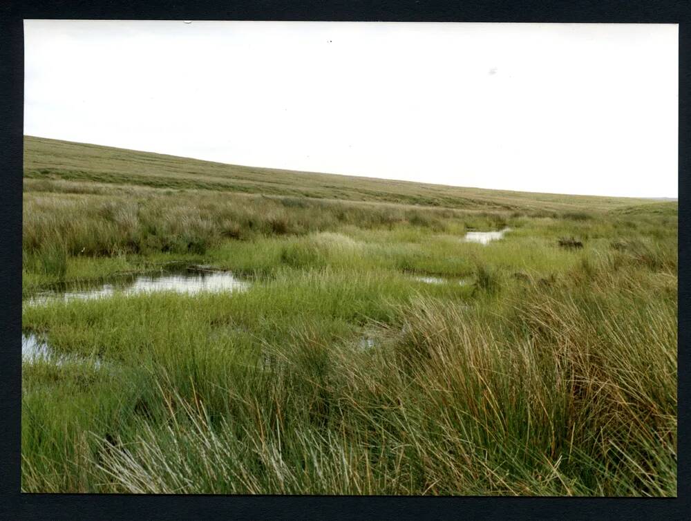 36/40 Near source of Avon, looking South to slopes of Ryders 20/7/1991