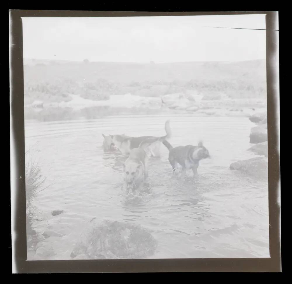 An image from the Dartmoor Trust Archive