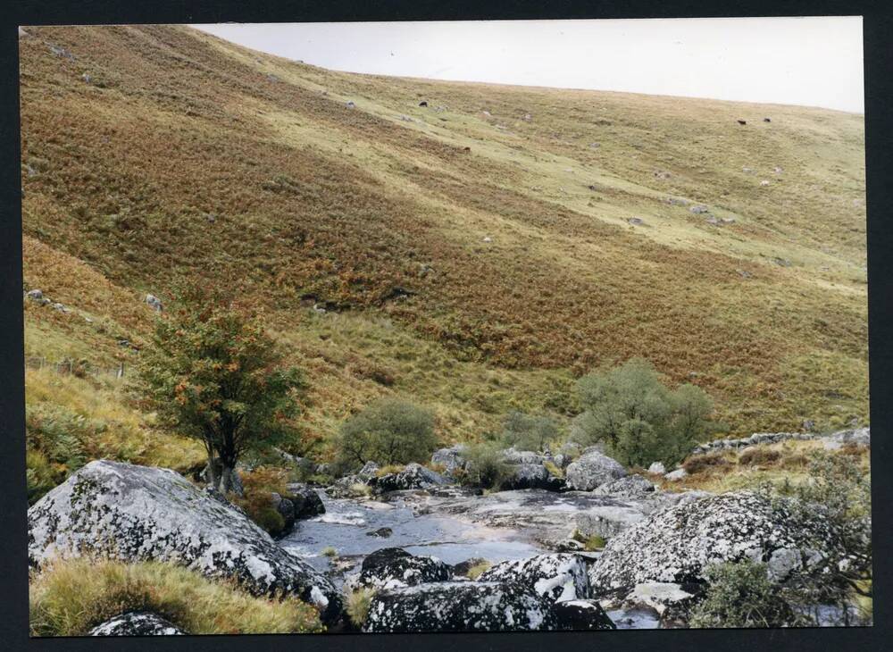 An image from the Dartmoor Trust Archive