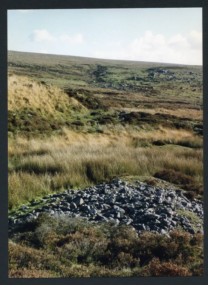 An image from the Dartmoor Trust Archive