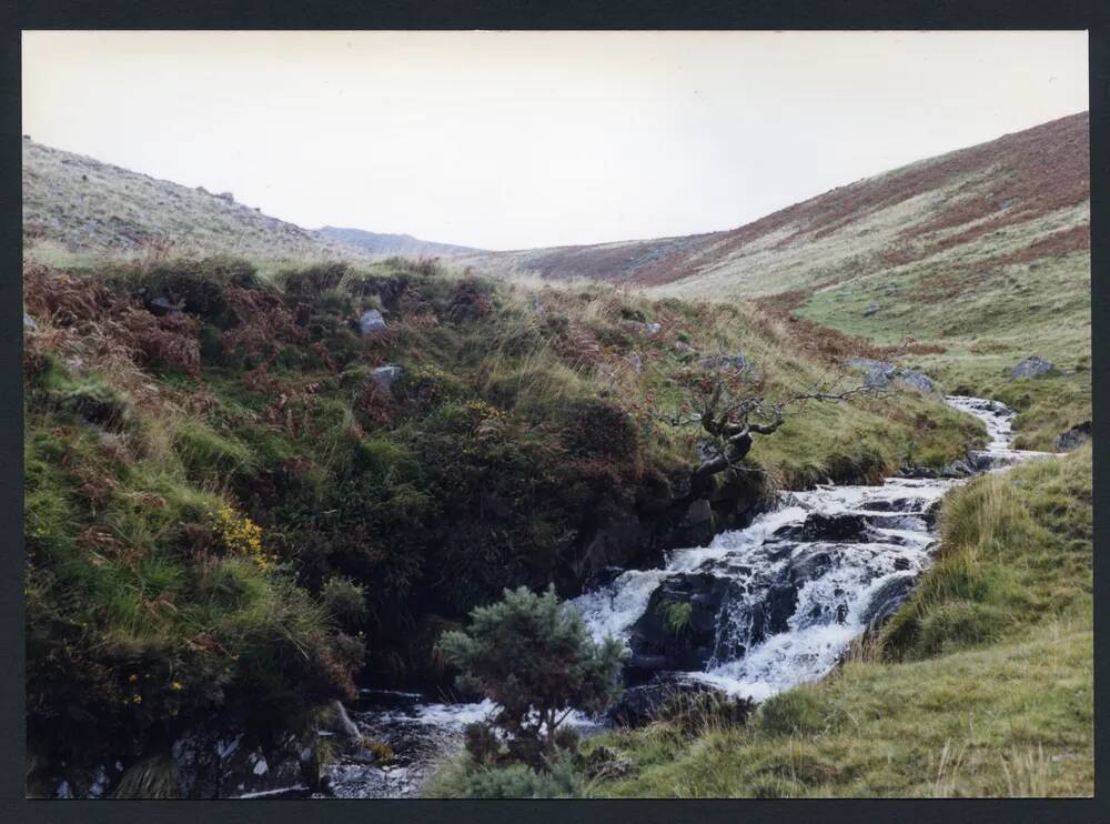 An image from the Dartmoor Trust Archive