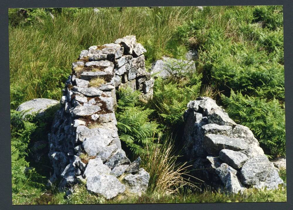 An image from the Dartmoor Trust Archive