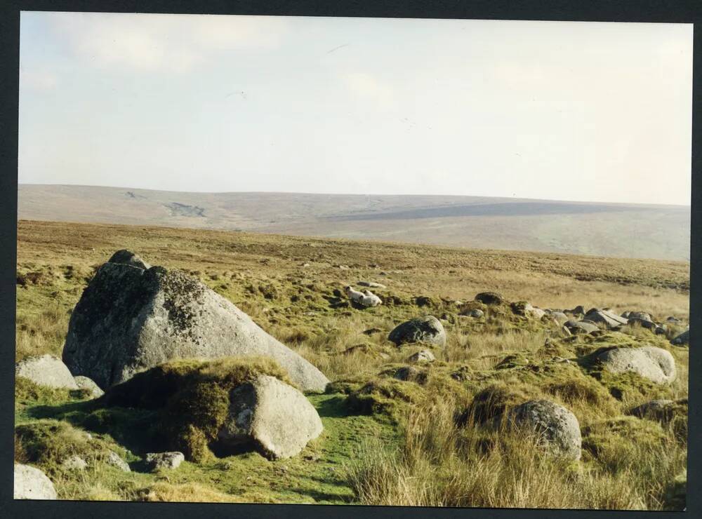 An image from the Dartmoor Trust Archive