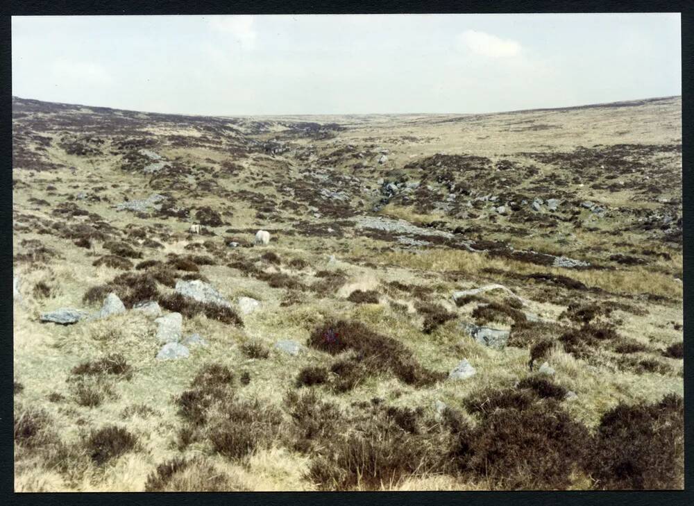 An image from the Dartmoor Trust Archive