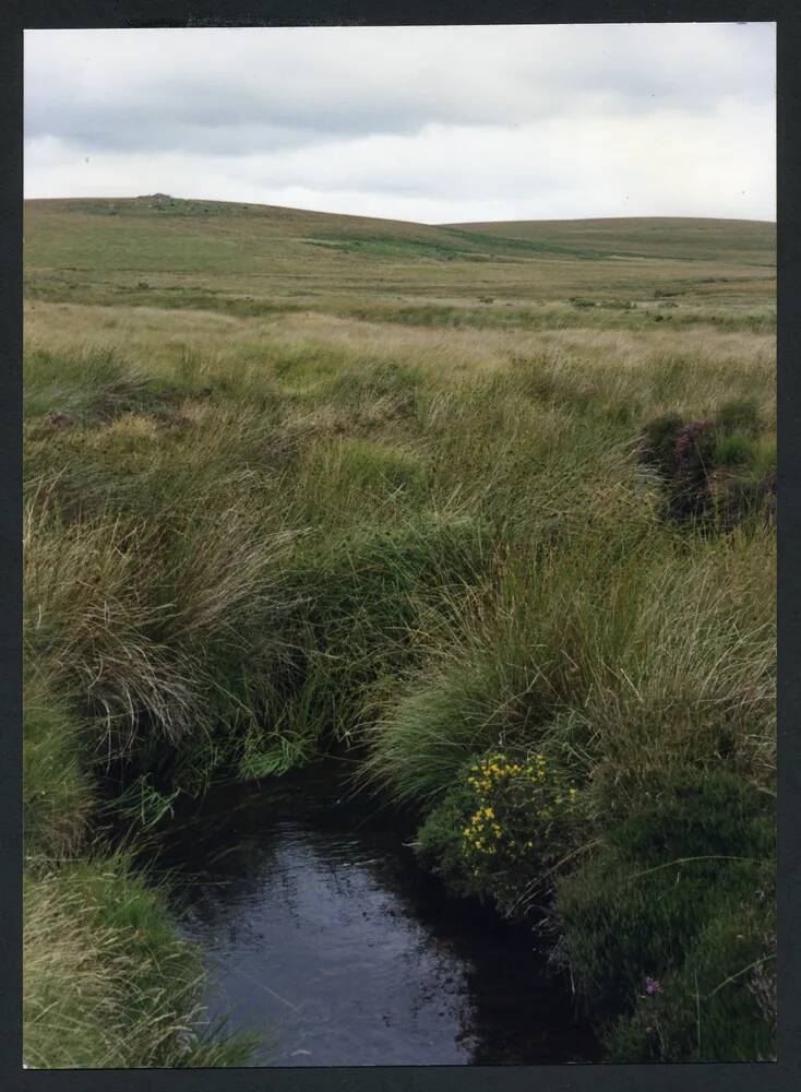 An image from the Dartmoor Trust Archive