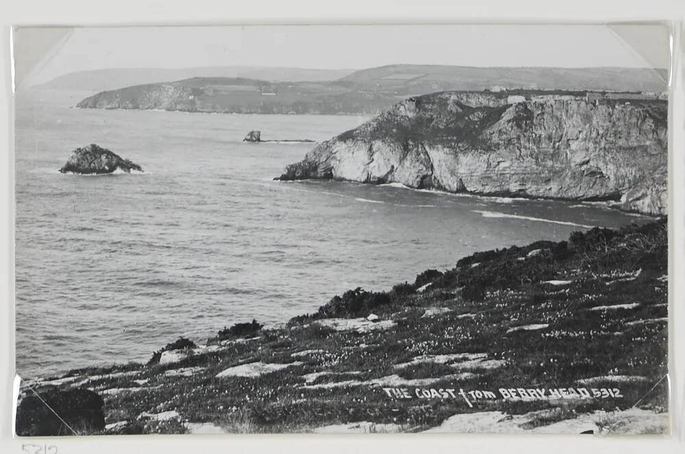 The coast from Berry Head