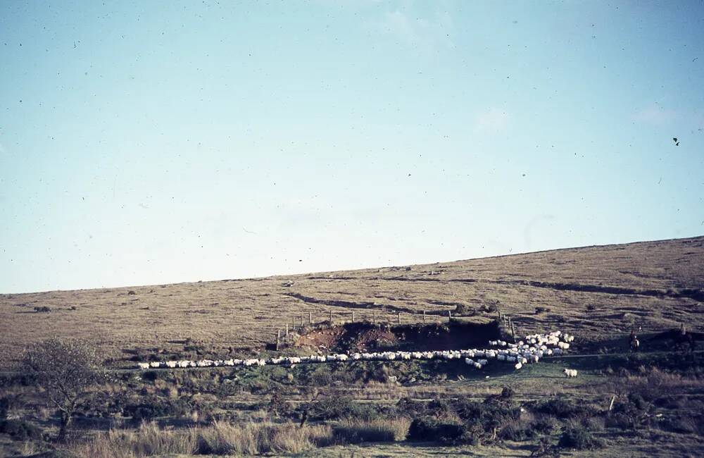 An image from the Dartmoor Trust Archive