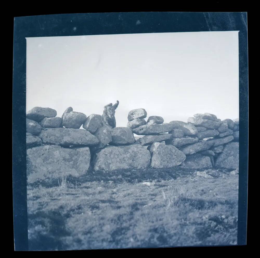 An image from the Dartmoor Trust Archive