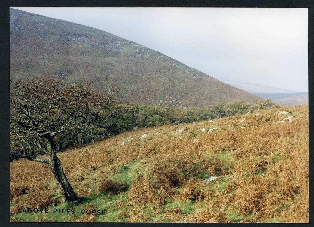 An image from the Dartmoor Trust Archive