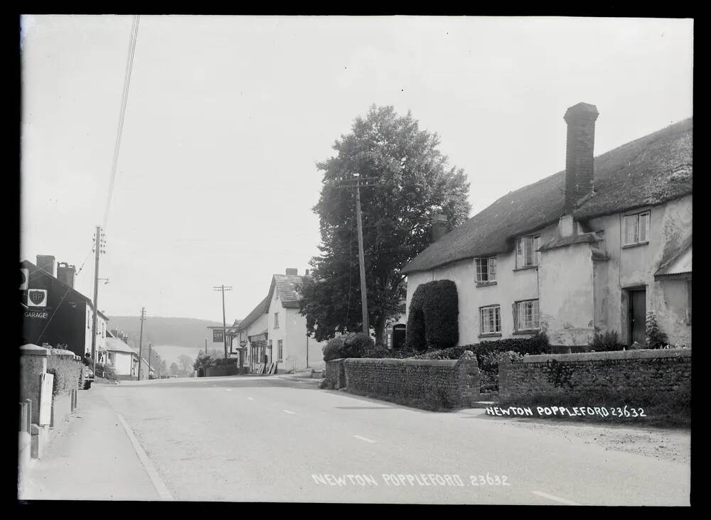 Street view, Newton Poppleford