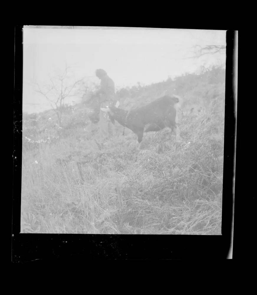 An image from the Dartmoor Trust Archive