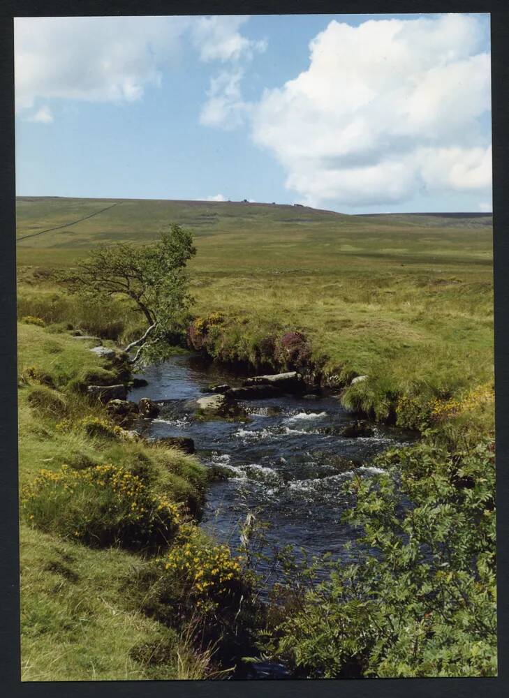 An image from the Dartmoor Trust Archive