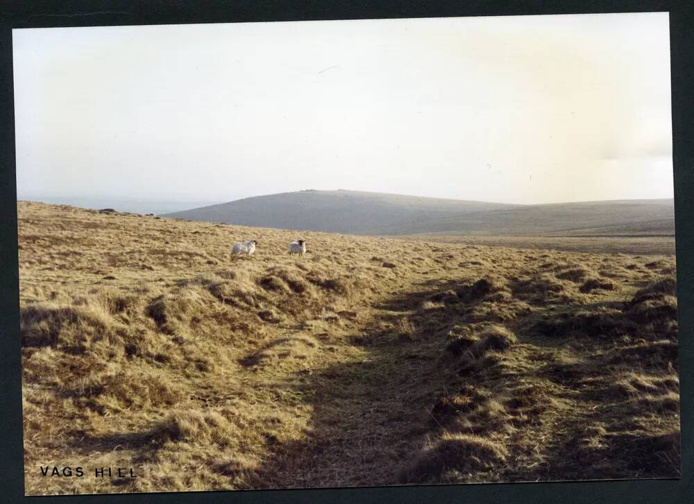 36/9 Bala Brook track above source of East Glaze Brook 9/2/1994