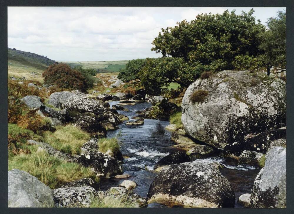 An image from the Dartmoor Trust Archive