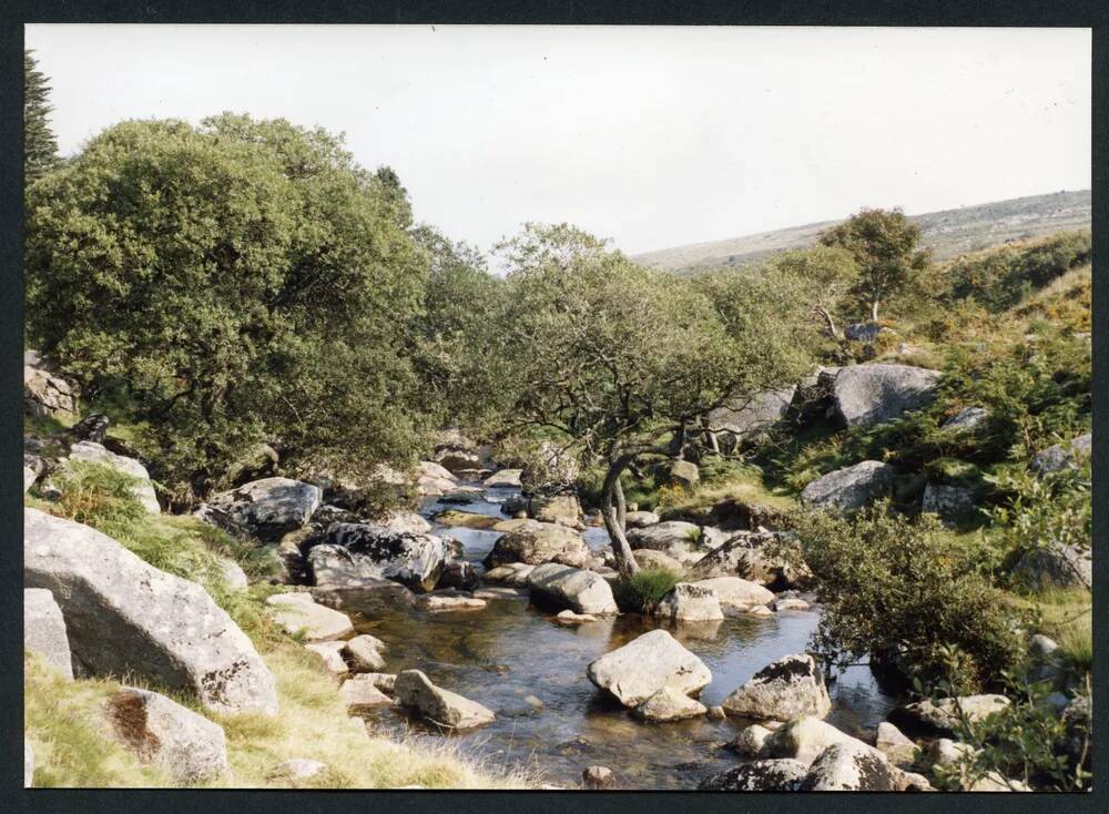 An image from the Dartmoor Trust Archive