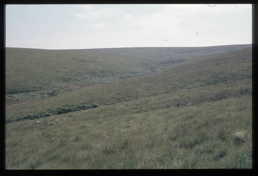 Upper Langcombe Brook