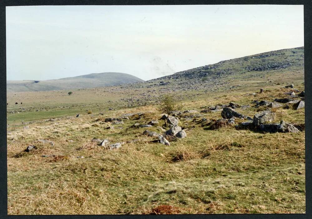 An image from the Dartmoor Trust Archive