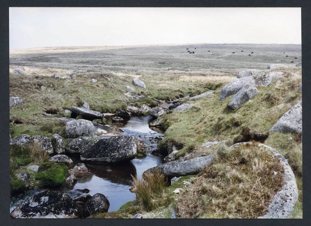 An image from the Dartmoor Trust Archive