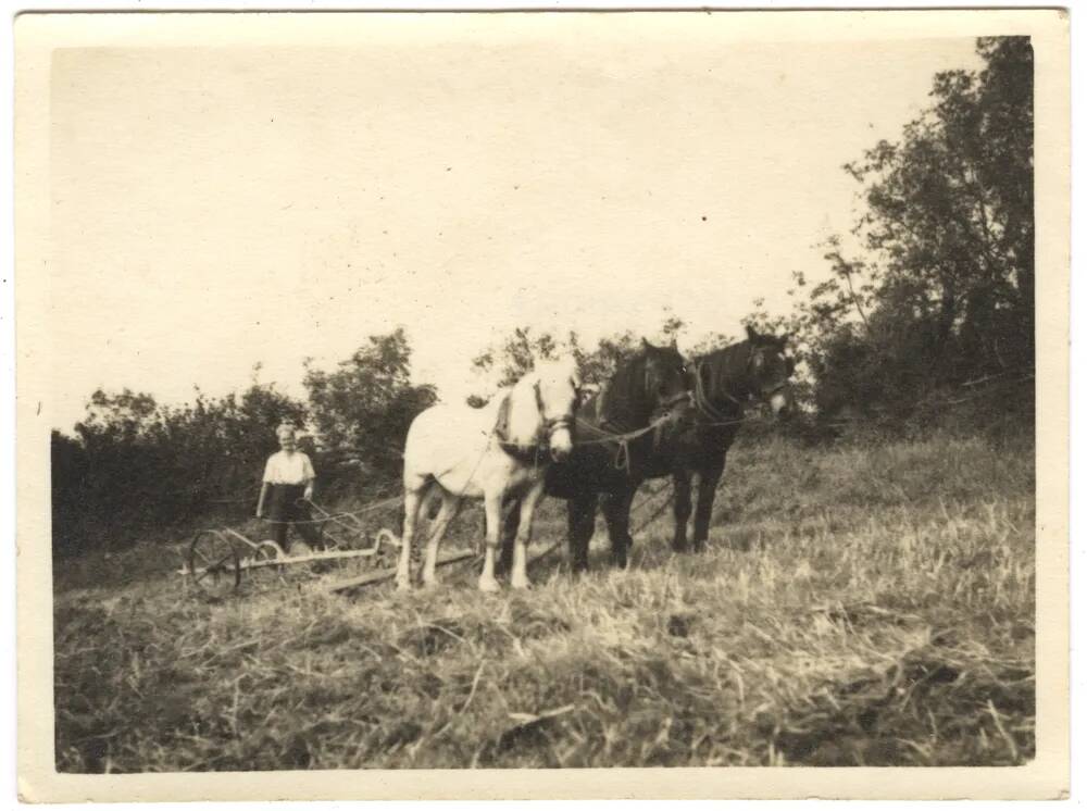 An image from the Dartmoor Trust Archive