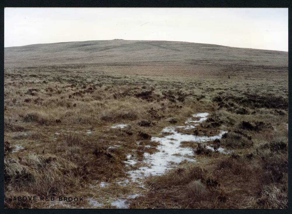 5/1 Above source of Left Lake 1/1994