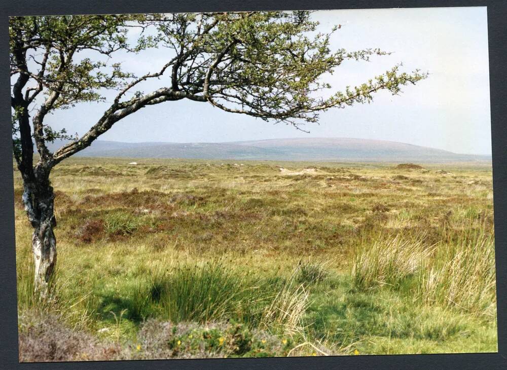 An image from the Dartmoor Trust Archive