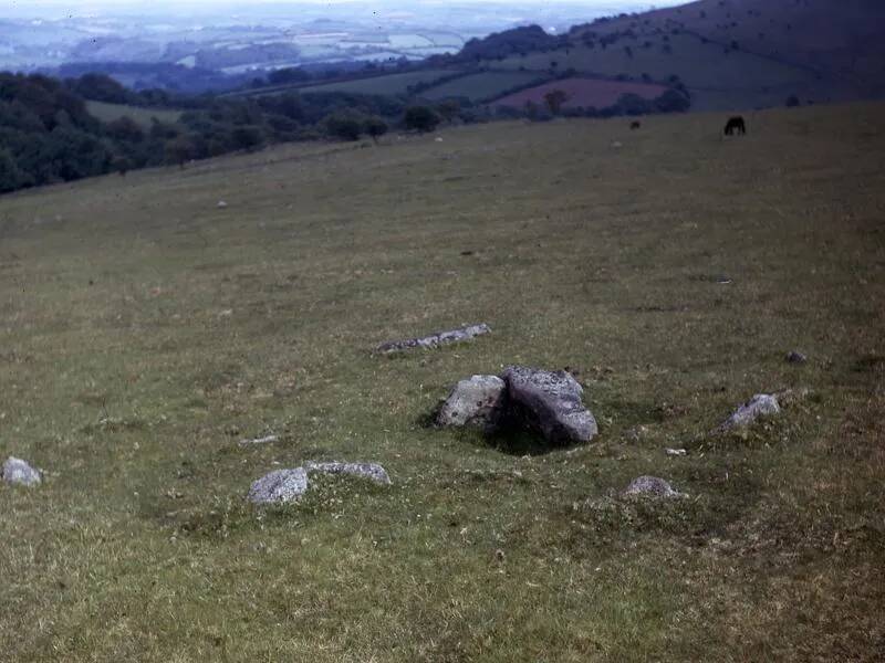 An image from the Dartmoor Trust Archive