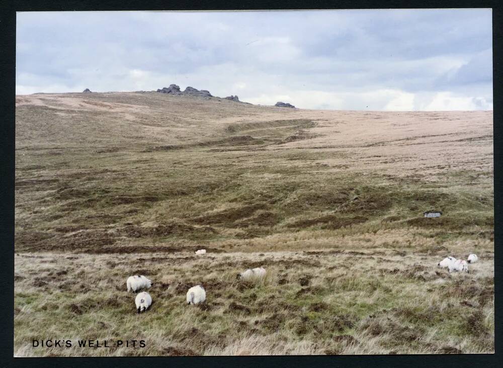 An image from the Dartmoor Trust Archive