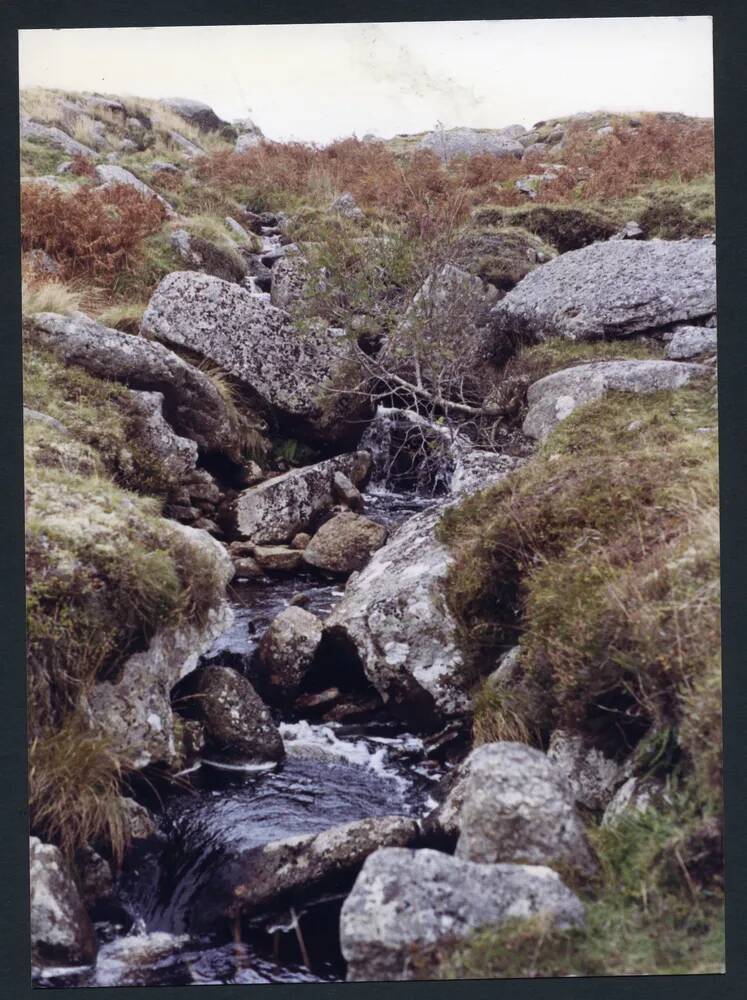 An image from the Dartmoor Trust Archive