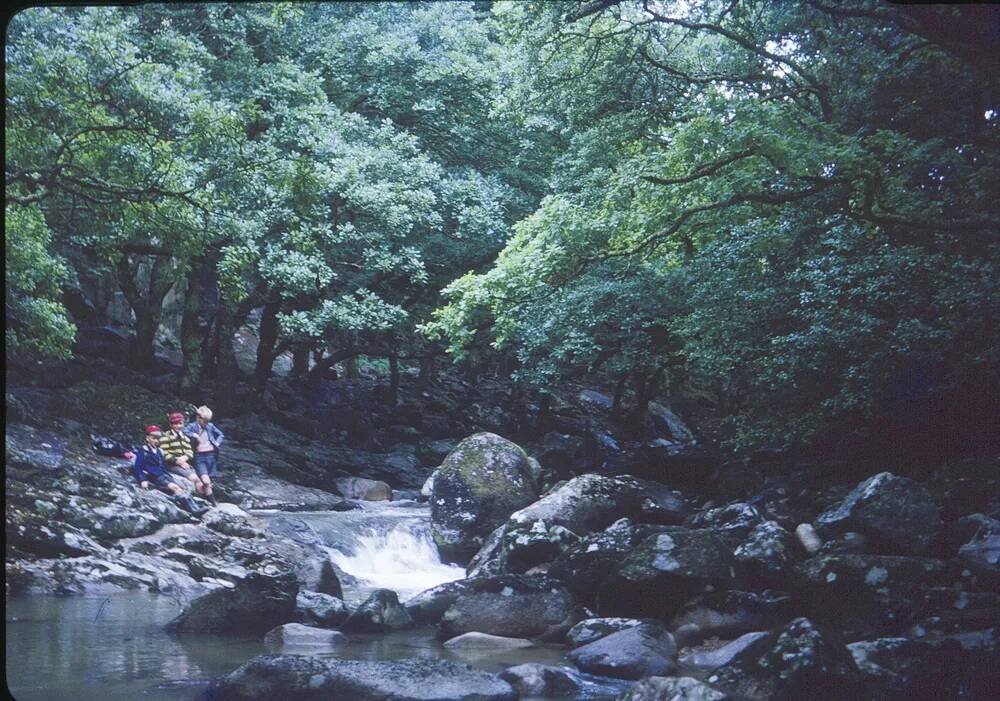 An image from the Dartmoor Trust Archive