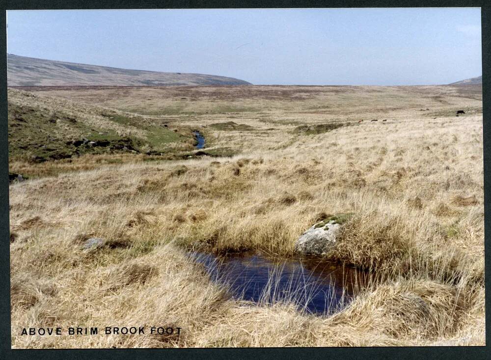 An image from the Dartmoor Trust Archive