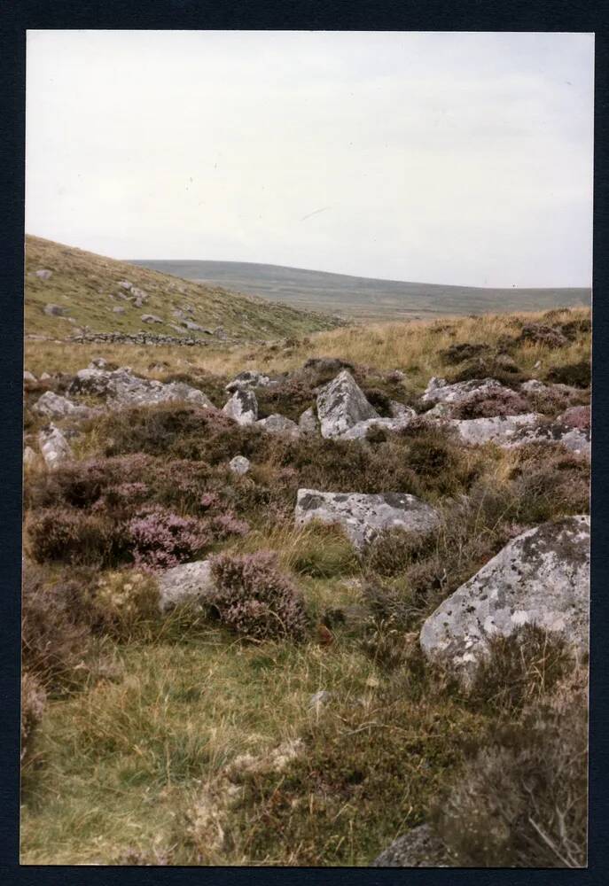 An image from the Dartmoor Trust Archive