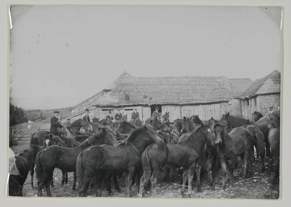 Bampton Pony fair