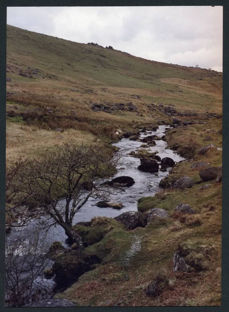 An image from the Dartmoor Trust Archive